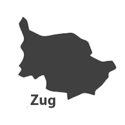 Umzug-Profis-Standort-Zug